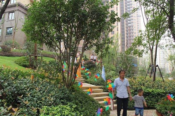 20170828145515512 20170828145515512